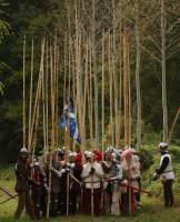 Trois dizaines dans une fort du Gtinais